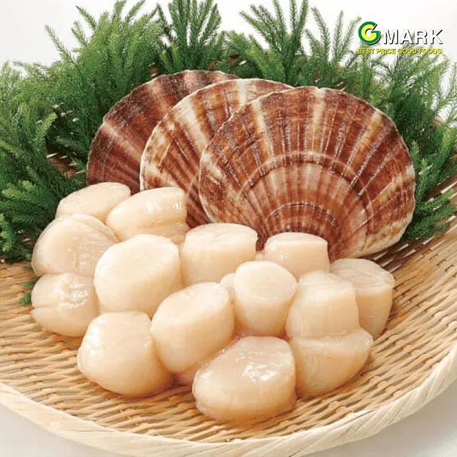 Coi-Sò-Điệp-Nhật-d59e6ddcfa4cf9d1e