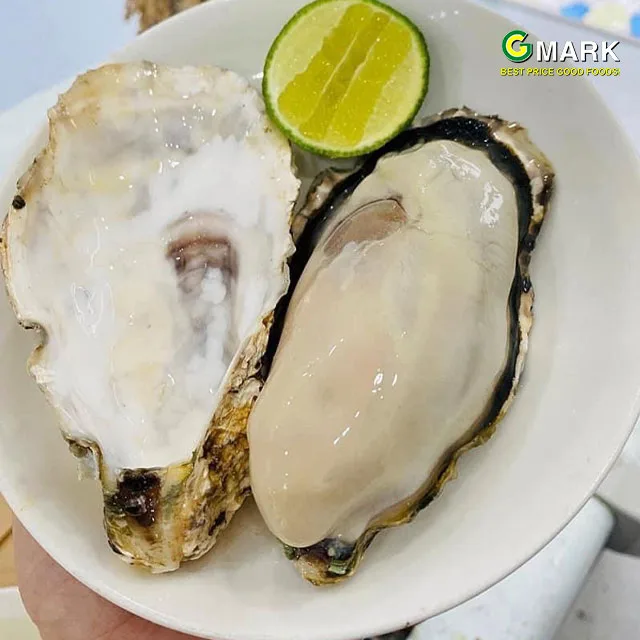 Hàu-Nhật--d59e6ddcfa4cf9d1e