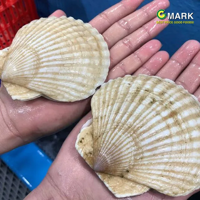 Sò-điệp-nhật-gmark-nmar-d59e6ddcfa4cf9d1e